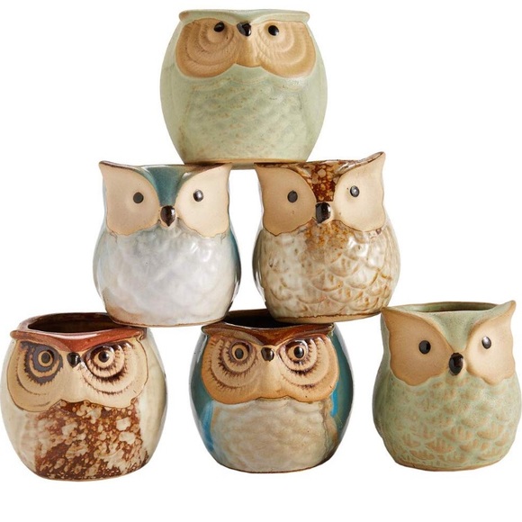 Set of 6 Owl Pot Ceramic Glaze Base Planter Pots - Picture 2 of 4